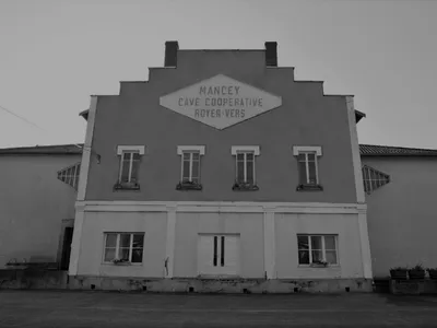 Cave coopérative de Mancey - cuverie — Cave à vins à Mancey