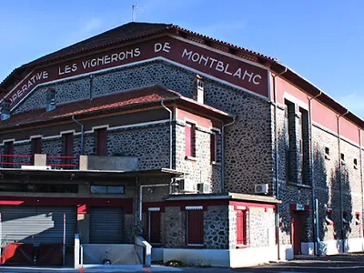 Cave Coopérative de Vinification — Cave à vins à Montblanc