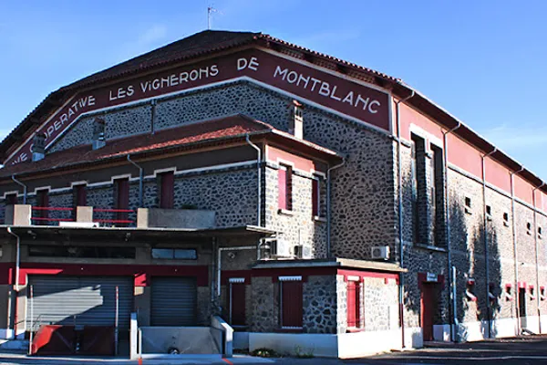 Cave Coopérative de Vinification, Établissement vinicole à Saint-Thibéry — Cabinet