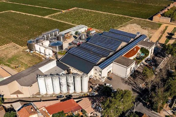 Cave Coopérative de Vinification La Vigneronne, Établissement vinicole à Canet — Cabinet