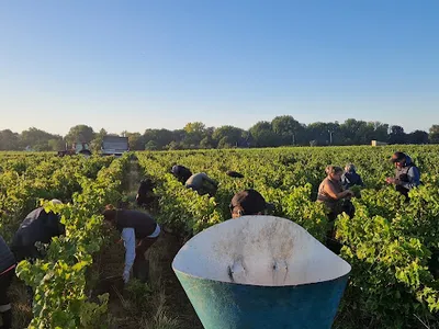 Caves du Domaine Bourillon Dorléans — Cave à vins à Rochecorbon