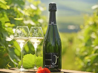 Champagne Colette & Gaston — Établissement vinicole à Monthelon