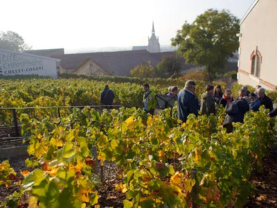 Champagne Collet - Cogevi — Établissement vinicole à Aÿ-Champagne