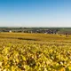 Champagne Francart et Fils