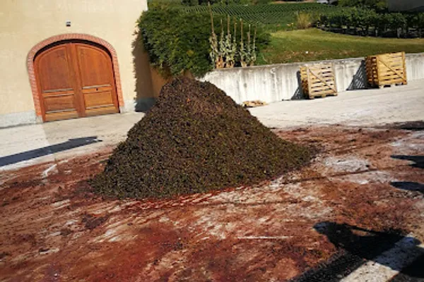 champagne François-Principe ARNOULT, Vignoble à Fleury-la-Rivière — Cabinet