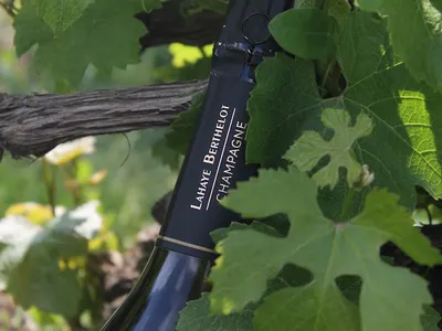 Champagne Lahaye Berthelot — Établissement vinicole à Brugny-Vaudancourt