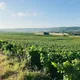 Champagne Philippe Mallet Domaine Mallet