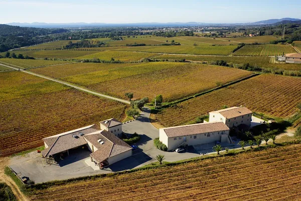 Château la Valetanne | Domaine Viticole AOC Cotes de Provence | La Londe, Établissement vinicole à La Londe-les-Maures — Cabinet
