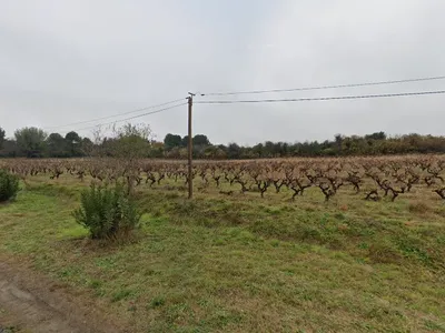 CIATTI Europe — Courtier d'affaires à Montpellier