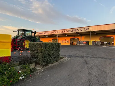 Coopérative Les Grappes d'Or — Établissement vinicole à Blancs-Coteaux