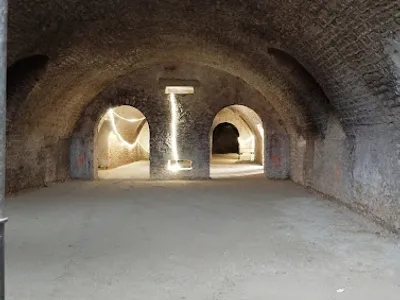 Coopérative Vinicole de Vertus — Établissement vinicole à Blancs-Coteaux