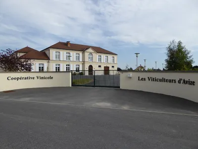 Coopérative Vinicole Les Viticulteurs d'Avize — Établissement vinicole à Avize