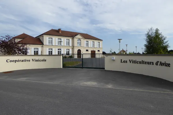 Coopérative Vinicole Les Viticulteurs d'Avize, Établissement vinicole à Avize — Cabinet
