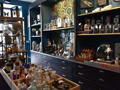 Curiositas — Magasin d'ameublement et de décoration à Paris