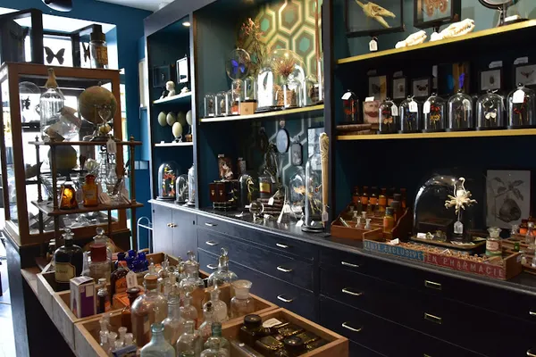 Curiositas, Magasin d'ameublement et de décoration à Paris — Cabinet