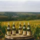 Domaine Chantemerle