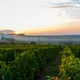 Domaine Chavet