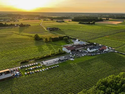 Domaine Daridan — Vignoble à Cour-Cheverny