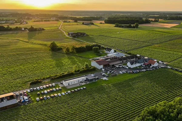 Domaine Daridan, Vignoble à Cour-Cheverny — Cabinet