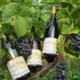 Domaine de la Goulotte