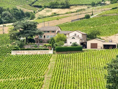Domaine de la Grosse Pierre-Chiroubles AB — Établissement vinicole à Chiroubles