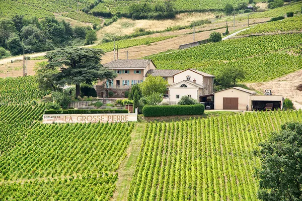 Domaine de la Grosse Pierre-Chiroubles AB, Établissement vinicole à Chiroubles — Cabinet