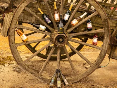 Domaine de la Mongeais - EARL Desnouhes — Établissement vinicole à Vaudelnay