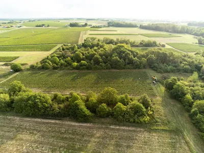 Domaine Delobel – Vins bio de Loire (Touraine Oisly) — Établissement vinicole, Cave à vins, Vignoble à Le Controis-en-Sologne