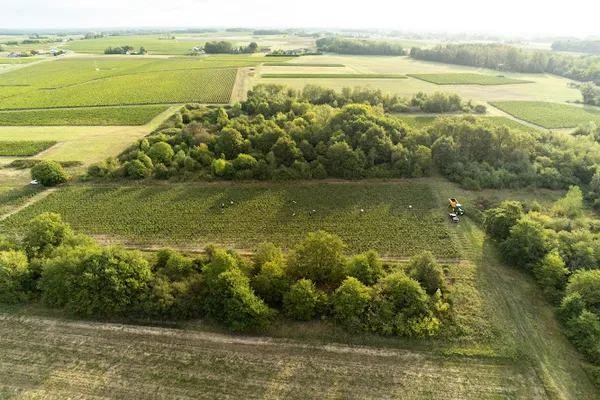 Domaine Delobel – Vins bio de Loire (Touraine Oisly), Établissement vinicole, Cave à vins, Vignoble à Le Controis-en-Sologne — Cabinet