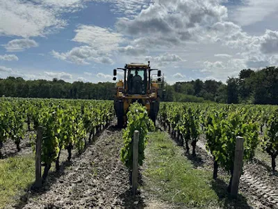 Domaine des Champs Gonneau - Cave BOUTIN — Établissement vinicole à Saint-Georges-sur-Cher