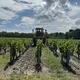Domaine des Champs Gonneau - Cave BOUTIN