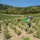 Domaine des Grandes Vignes
