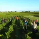 Domaine des Roy