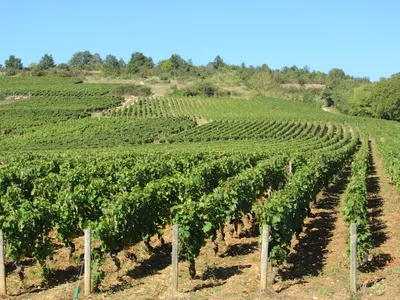 Domaine Desvignes, Gautier, propriétaire récoltant à Givry — Établissement vinicole à Givry