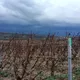 Domaine Dominique Gruhier