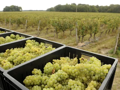 DOMAINE DU CROC DU MERLE — attractions à Muides-sur-Loire