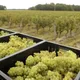 DOMAINE DU CROC DU MERLE