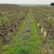 Domaine du Gerfaut