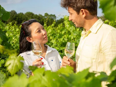Domaine du Matin Calme - Accueil et dégustation sur rendez-vous — Vignoble à Les Garennes sur Loire