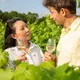Domaine du Matin Calme - Accueil et dégustation sur rendez-vous
