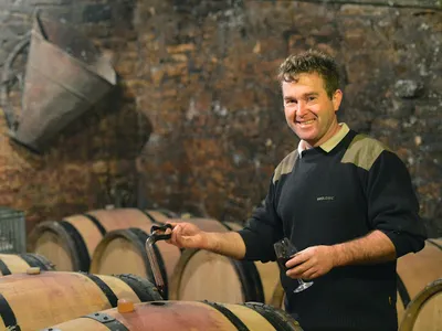 DOMAINE DU MERLE — Vignoble à Sennecey-le-Grand