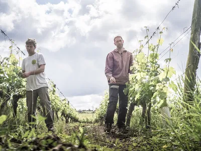 DOMAINE DU MORTIER CYRIL ET FABIEN BOISARD — Établissement vinicole à Saint-Nicolas-de-Bourgueil