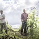 DOMAINE DU MORTIER CYRIL ET FABIEN BOISARD