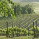 Domaine du Siorac