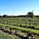 Domaine du Vardet