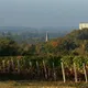 Domaine du Vieil Orme