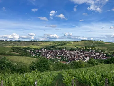 Domaine Ferrari — Établissement vinicole à Irancy