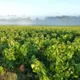 Domaine Haute Févrie