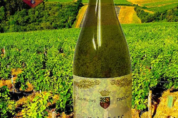 Domaine Jean-Michel Daulne, Vignoble, Magasin de vins et spiritueux, Cave à vins, Grossiste en vins à Bazarnes — Cabinet