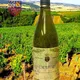 Domaine Jean-Michel Daulne